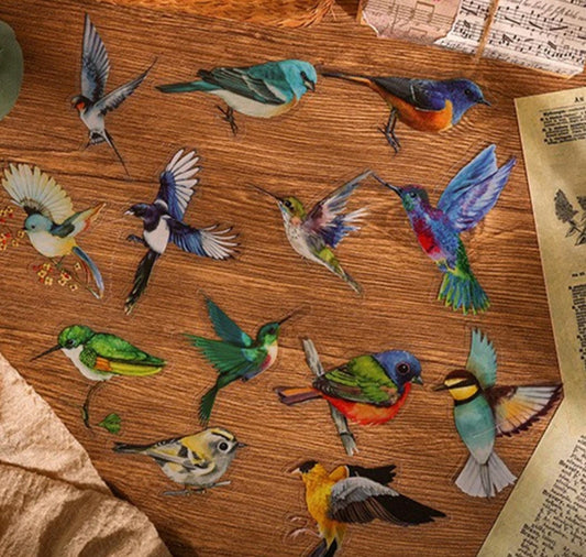 40 Pc Bird Stickers